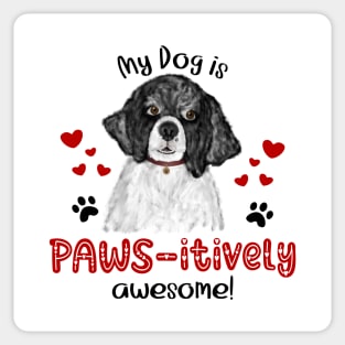 My Dog Is Pawsitively Awesome (Portuguese Water Dog) Sticker